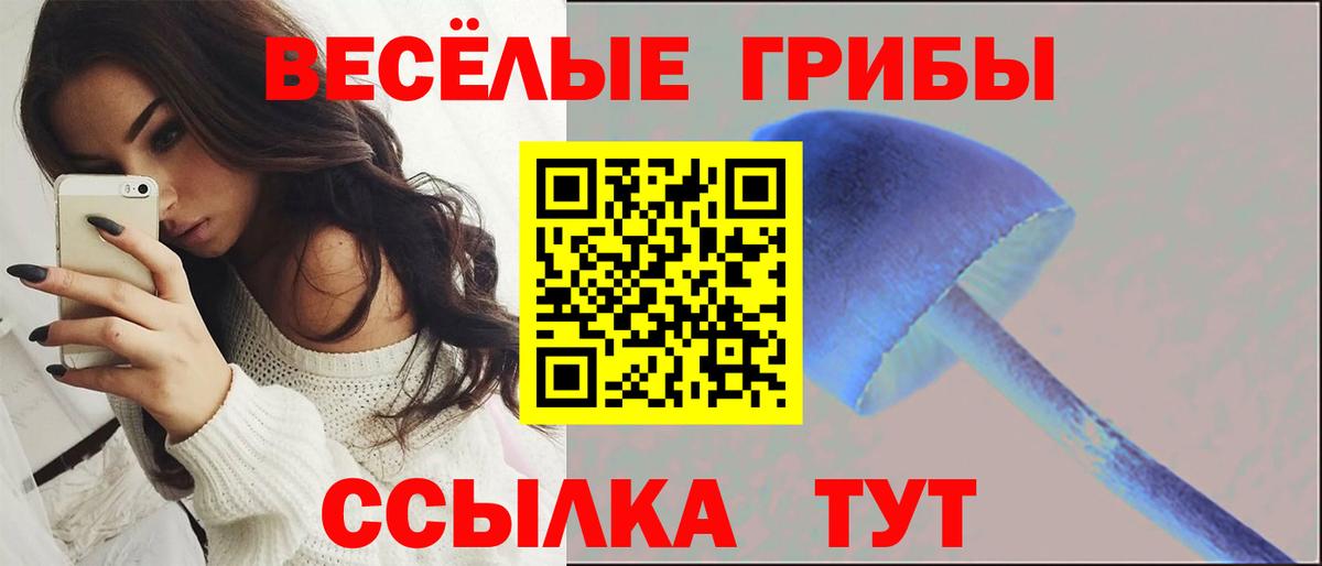 Галлюциногенные грибы Psilocybe  Вход с VPN  как найти закладки  Галлюциногенные грибы мухоморы  Октябрьский 