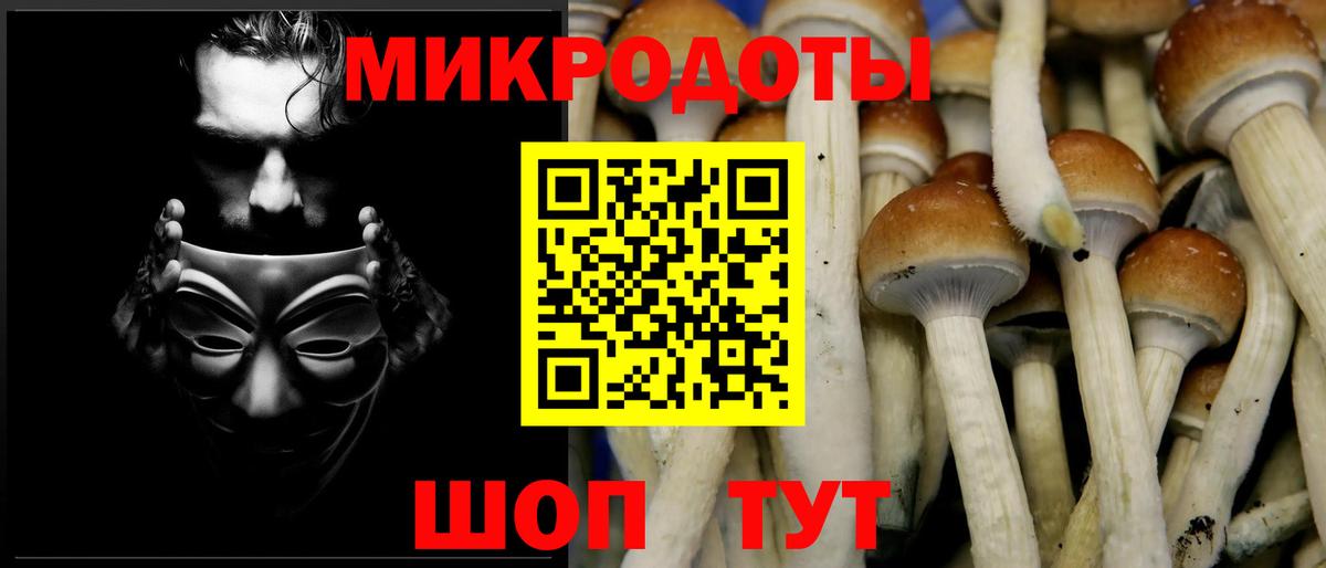 Галлюциногенные грибы мухоморы Октябрьский